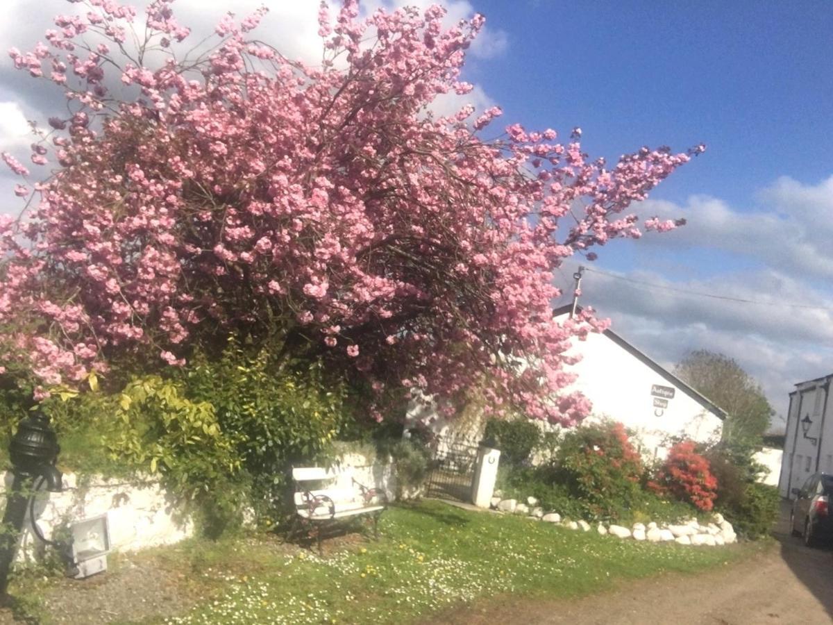 Kingsmills Cottages Artrea Экстерьер фото